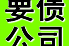 英德为什么选择专业追讨公司来处理您的债务纠纷？